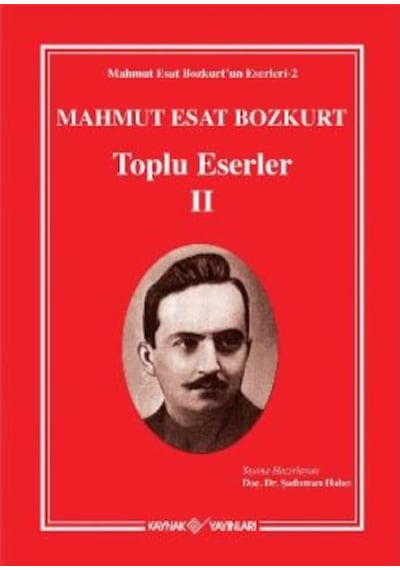 Mahmut Esat Bozkurt - Toplu Eserler 2