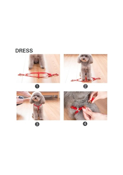 Küçük Köpek Tasması S 0.6cm - Küçük Boy - Göğüs Kemerli, Tutma Saplı Ayarlanabilir Yaka Bağı Gri