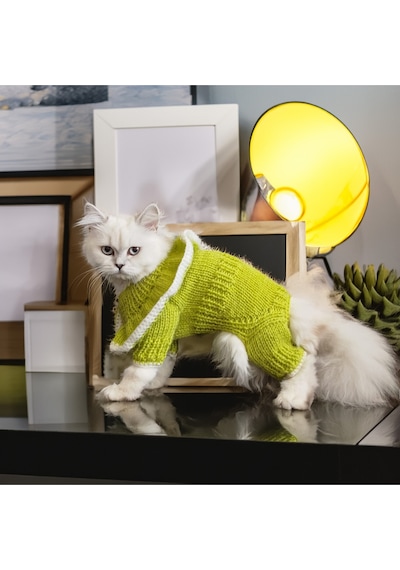 Kedi Ve Köpek İçin Yakası Fırfırlı Fıstık Yeşili Tulum