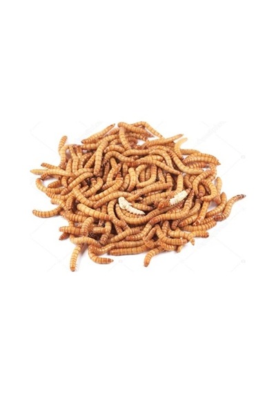 Un Kurdu 1000Gr