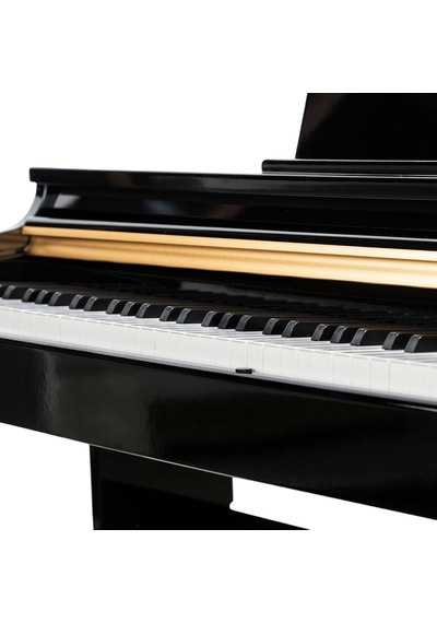 Winchester Wdp-4952 Dijital Piyano 88 Keys