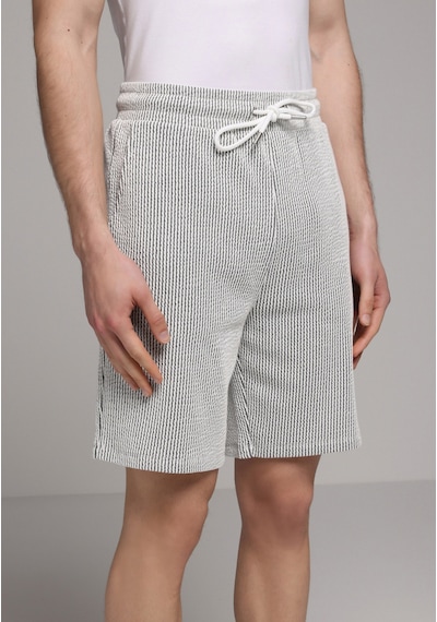 Colin's Colins Regular Fit Orta Bel Çizgili Erkek Gri Şort Cl1080260 Q1.v2 Gra