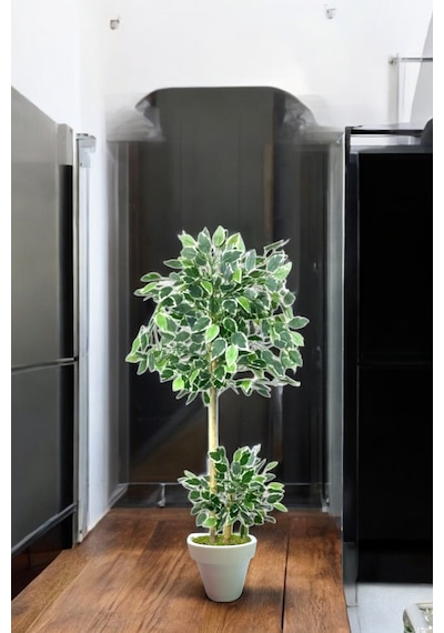 130 Cm Ficus Yapay Ağaç Bambu 2 Gövdeli Beyaz Plastik Saksı Yeşil