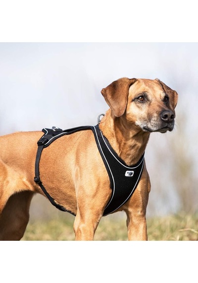 Belka Comfort Harness Red L