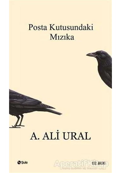 Posta Kutusundaki Mızıka - A. Ali Ural - Şule Yayınları