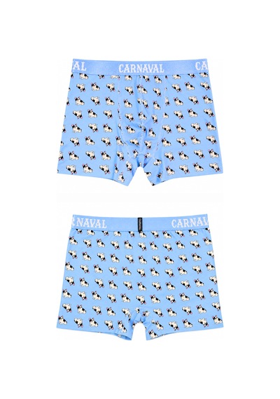 Carnaval Socks French Bulldog Köpek Desenli Erkek Boxer Pamuklu Likralı Parlak Lastikli Kutulu Açık Mavi Çoklu