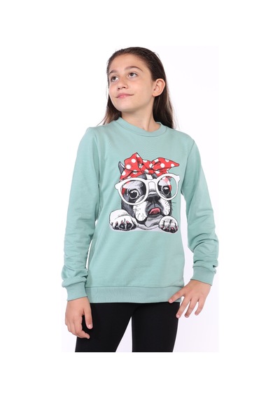 Toontoy Kız Çocuk Köpek Figür Baskılı Sweatshirt Pembe