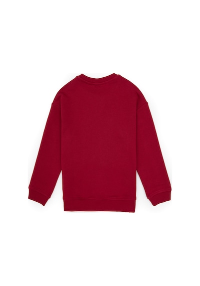 U.s. Polo Assn. Erkek Çocuk Sweatshirt 50313829-vr104 Koyu Frambuaz/dark Raspberry