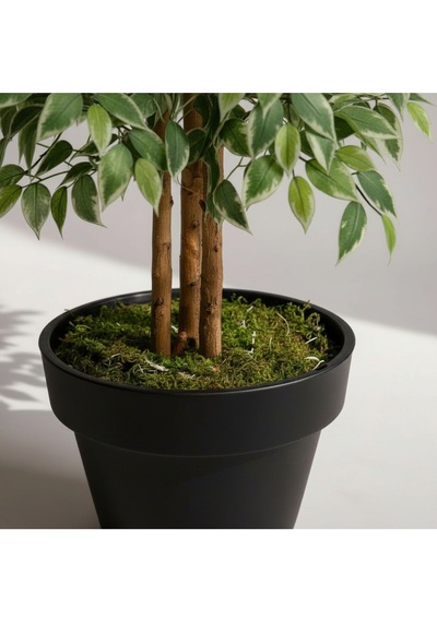 Yapay Ficus Ağaç 150 Cm Siyah Plastik Saksı Yeşil