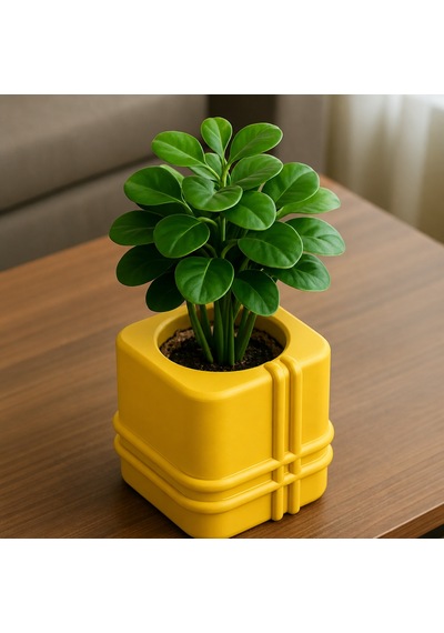3d Baskı Square Planter - Izgara Desenli Küp Saksı-sarı