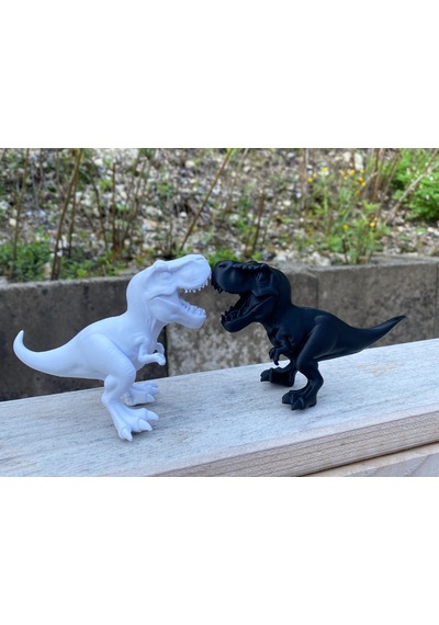 Dinosaur Dinazor Minik 10 Cm Siyah Ve Beyaz Renklerde Balık