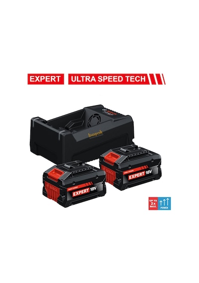 Bosch Expert Akü Seti 2 X Exba18v 5.5 Ah Akü+gal12v/18v Şarj Cihazı 1600a0373p
