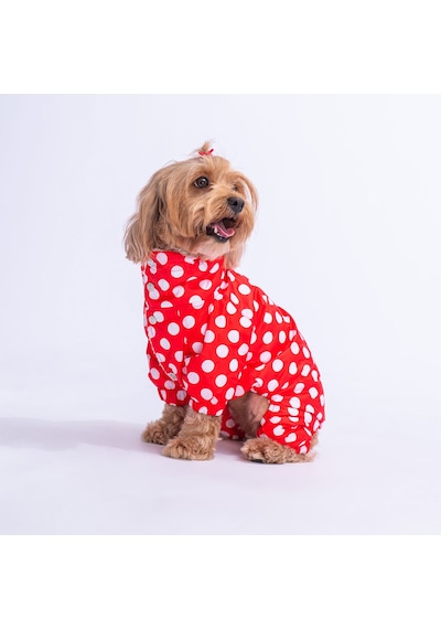 Kırmızı Dots Köpek Tulum Yağmurluğu Köpek Yağmurluk Köpek Kıyafeti Köpek Elbisesi