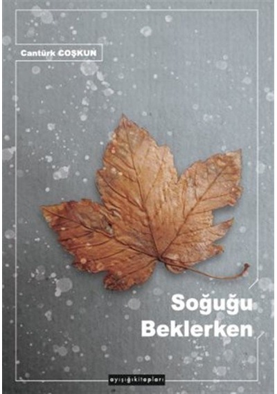 Soğuğu Beklerken / Cantürk Coşkun