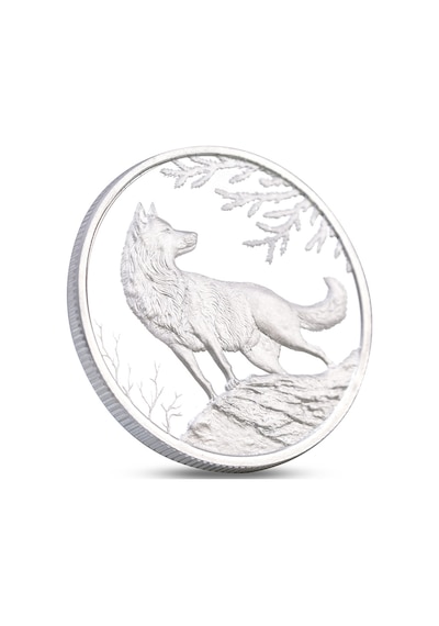 Agakulche Kurt Gümüş Sikke Coin