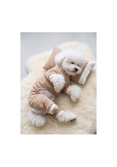 Latte Sprinkles Köpek Uyku Takımı Pamuklu Penye Köpek Tulumu Ve Mini Yastık Küçük Irklar İçin Tüy Dökülmesini Azaltır