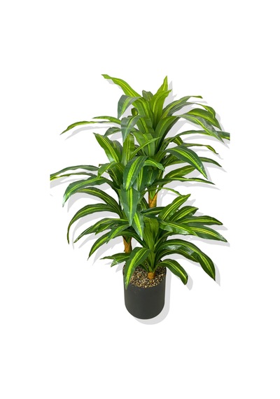 Dracaena Fragrans 3 Gövde Yapay Ağaç 160 Cm Gold Kemerli Beyaz 30x30 Saksı