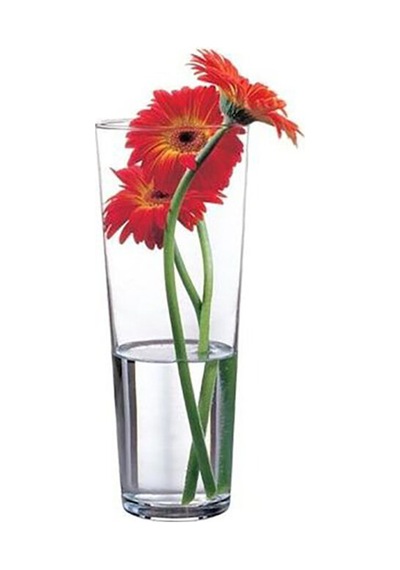 Paşabahçe Vazo Flora 203020 Çok Renkli