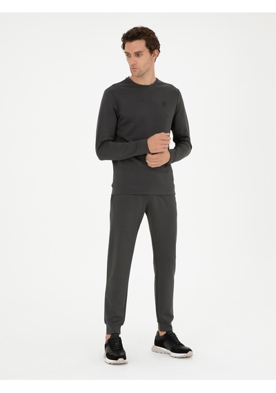 Antrasit Regular Fit Bisiklet Yaka Sweatshirt Gri