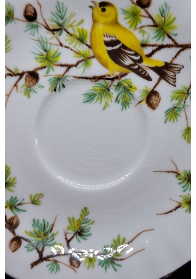 Woodland Serisi Goldfinch Bone China England Antika Porselen Kahve Fincan Tabağı 12 Cm Kahverengi