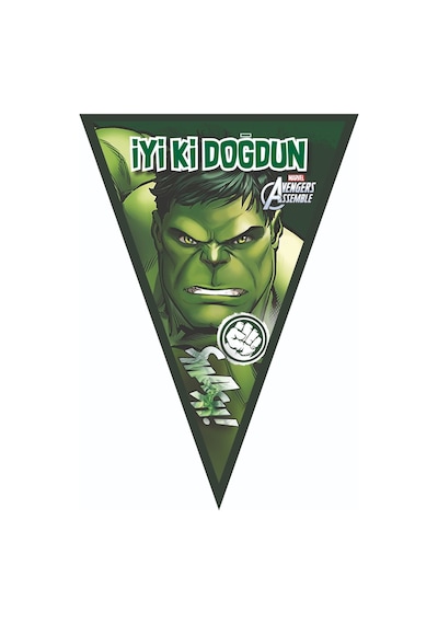 Hulk Lüks 70x100 Cm Afişli Doğum Günü Süsleri Seti