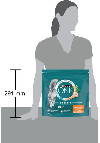 Purina One Tavuklu Yetişkin Kedi Maması 1,4 Kg