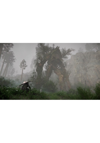 Ps5 Crimson Desert - Day One Edition - Türkçe Altyazı