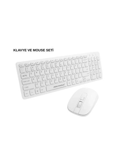 Pg-8040 Klavye Mouse Seti