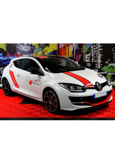 Renault Sport Yazılı Yan Kapı Ve Ön Kaput Sticker Etiket Modeli