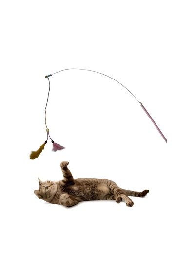 Kedi Oltası Elastik Çift Tüylü Çanlı Boncuklu Kedi Oyuncağı 130 Cm Uzunluk, Dayanıklı Paslanmaz Tel,boncuk Dolu Sap,zilli Ve Boncuklu Interaktif Hareketli Kuş Tüylü Kedi Oyuncağı Kedi Oltası Elastik Çift Tüylü Çanlı Boncuklu Kedi Oyuncağı 130 Cm Uzunluk, Dayanıklı Paslanmaz Tel,boncuk Dolu Sap,zilli Ve Boncuklu Interaktif Hareketli Kuş Tüylü Kedi Oyuncağı