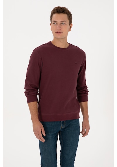 U.S. Polo Assn. Erkek Regular Fit Bisiklet Yaka Bordo Sweatshirt 50316390-VR177