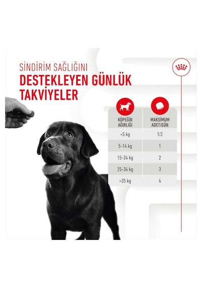 Digestion Chews Yetişkin Köpekler İçin Sindirim Sistemini Destekleyen Tamamlayıcı Ödül Maması 160g
