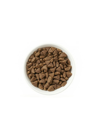Zampa Plus Premium Kuzu Etli ve Pirinçli Yavru Köpek İçin Kuru Mama 15 KG