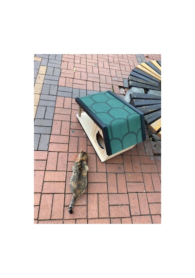 Kedi Yuvası Kedi Evi Özel Üretim İç Ve Dış Mekan Tırmalama Ve Mama Kablı 74x45 Cm