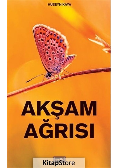 Akşam Ağrısı - Hüseyin Kaya - Eşik Yayınları