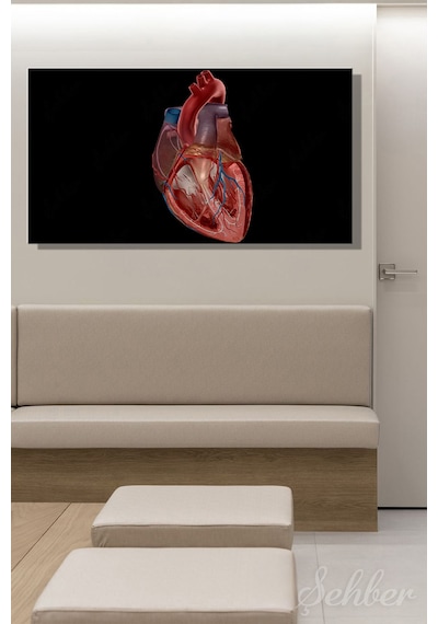 İnsan Kalbinin Anatomik Yapısını Gösteren Detaylı Bir Tıbbi Renkli Çizim Yatay Kanvas Tablo Tekli 3542