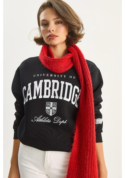 Shade Kadın Bisiklet Yaka Baskılı Üç İplik Şardonlu Basic Sweatshirt 6067 60283619 - Siyah