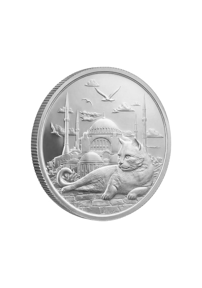 Agakulche İstanbul Kedisi Gümüş Sikke Coin