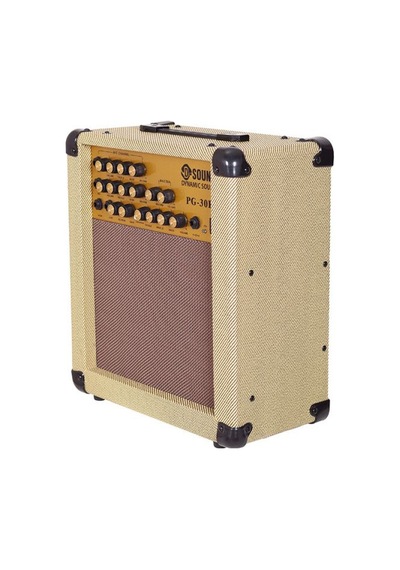 D-sound Pg-30r Enstruman Anfisi