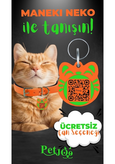 Petjoo 4.Maneki Neko Yeşil-Turuncu Qr'lı Kedi Künyesi