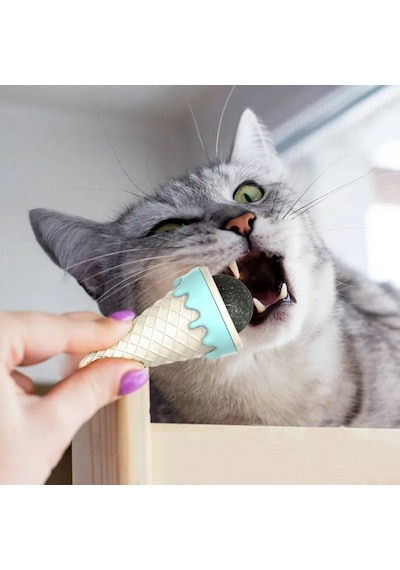 Zvnm Dondurma Şeklinde Kedi Nanesi Kedi Otu Zcv12