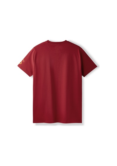 Gsstore Galatasaray Erkek T-shirt E252097 Bordo