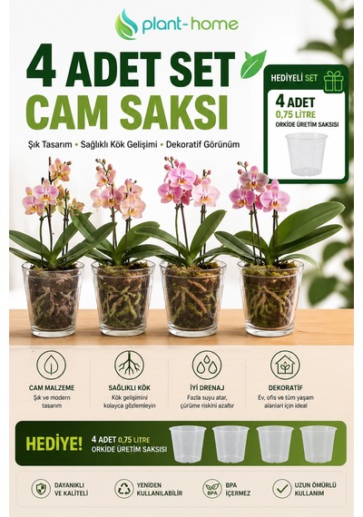 4 Adet Cam Orkide Saksısı Seti Şeffaf Dekoratif Cam Saksı + 4 Adet 0,75 Litre Orkide Üretim Saksısı Hediyeli