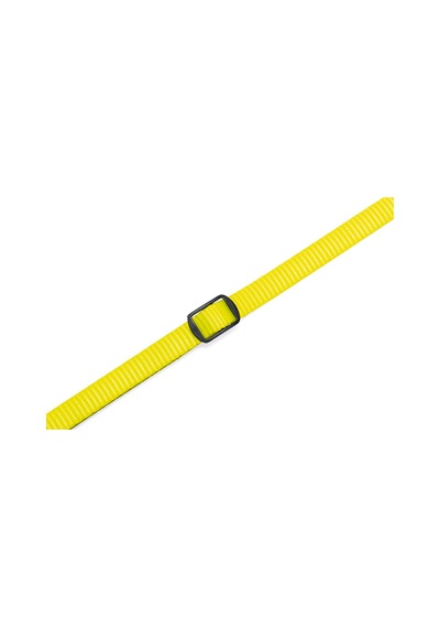 Beeztees Yavru Köpek Boyun Tasması, Çeşitli Renklerde, 22-35cm, 10mm Çok Renkli
