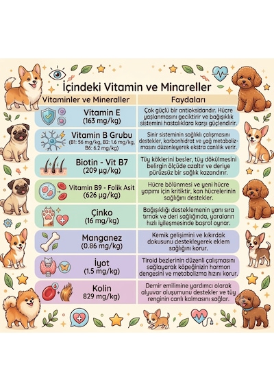Anatolian Premium Somonlu Parça Etli Yetişkin Köpek Konservesi 24 X 400 G