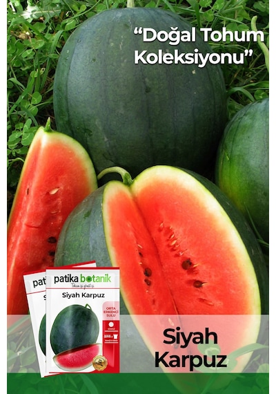 25 Adet Yerli Ata Siyah/kara Karpuz Tohumu