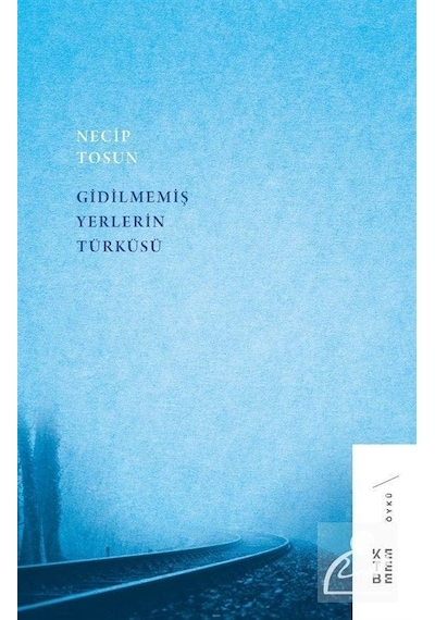 Gidilmemiş Yerlerin Türküsü - Necip Tosun