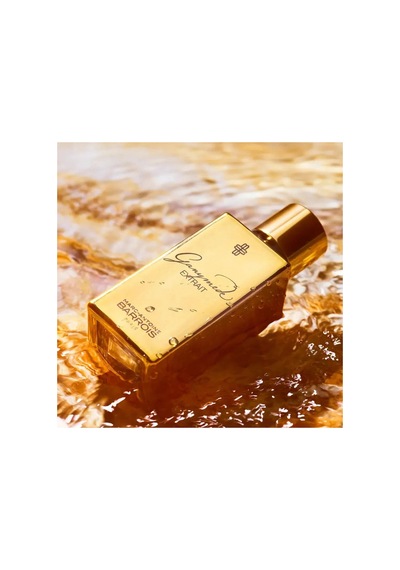-antoine Barrois Ganymede Extrait 50 Ml Edp Diğer
