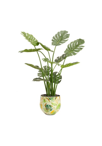 Lush Botanic S Saksı