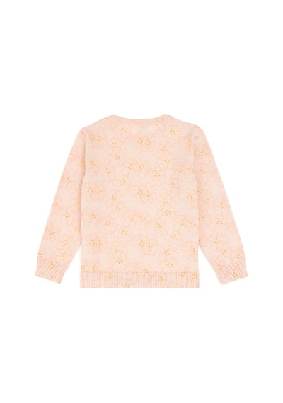 U.s. Polo Assn. Kız Çocuk Koyu Pembe Kazak /triko 50314361-vr167 Koyu Pembe